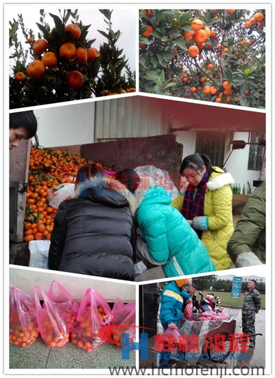 南豐蜜桔滯銷現(xiàn)象嚴(yán)重 桂林鴻程收購(gòu) 南豐蜜桔 南豐蜜桔滯銷現(xiàn)象嚴(yán)重 桂林鴻程收購(gòu) 南豐蜜桔